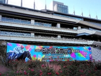 今日のジャパンカップは...