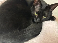 つつつつ追加！