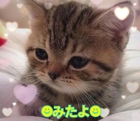 みたよ(*ˊ˘ˋ*)♡