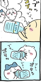ごめんなさい😿