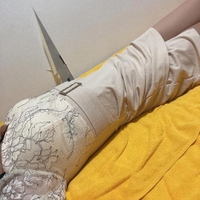 𝚂