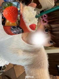 今日のおすすめハード