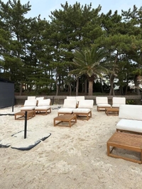 今年の出勤予定日🗓️❄️☃️