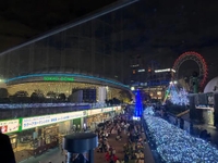 🐈‍⬛待っておる🐈‍⬛