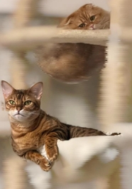 ありがとう💗💗💗