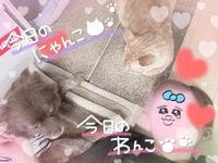 仲良し♡