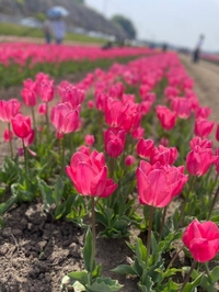 ありがとうございました♪