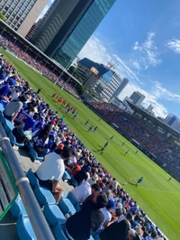 🏉
