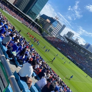 🏉