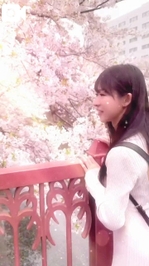 【🎥992】春🌸