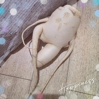 ネタでしかない♥️笑