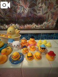 第二弾◯◯ルームツアー🐣
