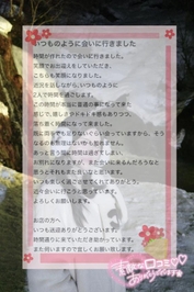 【お礼写メ日記】柴犬が1番好き様♡