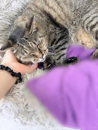 孤独のグルメ好き