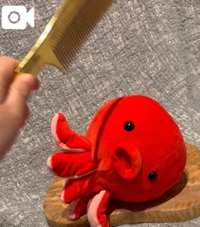 動画は、調理してやるぅスパーン🔪ごめーん🥺💦💦をあらわしております。。‼️タコぉぉぉ🐙