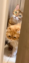 ありがとう💗💗💗