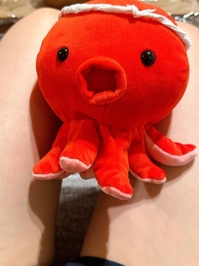 タ〜コ〜タコ🐙