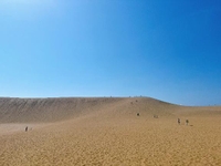 グッドモーニング❤️✨