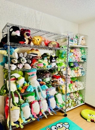 グッズ部屋🐸