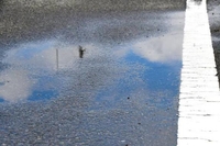 ❤️本日出勤❤️