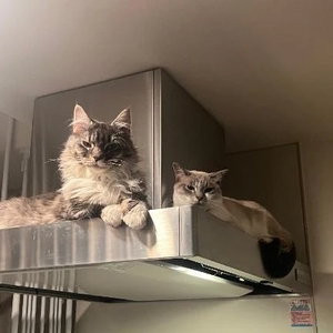 明日出勤追加♡