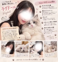 ……そうかにゃ？🐈