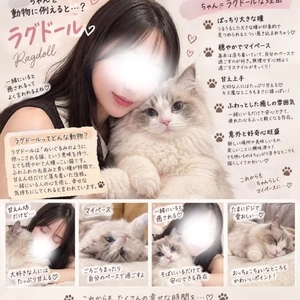 ……そうかにゃ？🐈