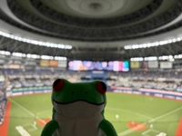 久しぶり⚾️