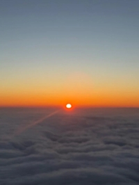 本日は☀️