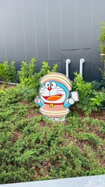 🩵今日は🩵