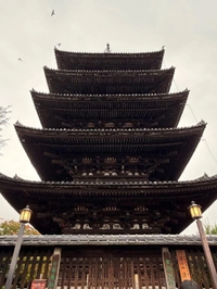 やらかしました😩