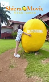 【🎥186】抱き心地🍋