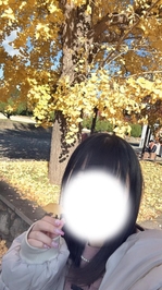 🎀秋だー🍁🍂