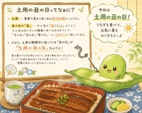 7月26日