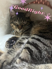 素敵な出会いに✨