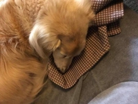 みたよ／シフト