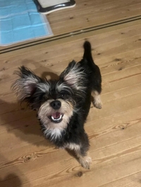 ごめんなさい😭