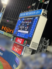 初めての⚾️