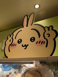 朝ですよ〜