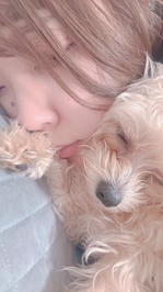 貴方の笑顔がみたいから( ˶´♡`˵)