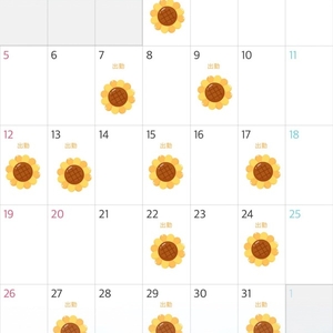 7月の予定⋆⸜🌻⸝‍⋆