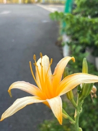 はっぴー💓💓