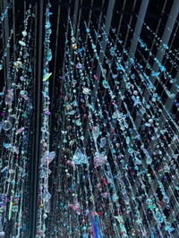 料金改正とお知らせ💁‍♂️⋆͛📢⋆