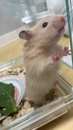 ☀️土曜日だー！☀️