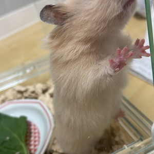 ☀️土曜日だー！☀️