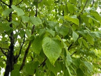 皆様への謝罪。