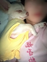 うちの愛おしい息子