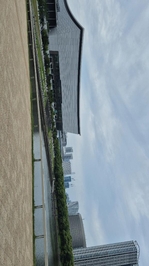 推し活中🌸🌸