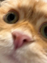 ありがとう💗💗💗