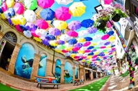 どこに行きたい？オススメはありますか？✈️